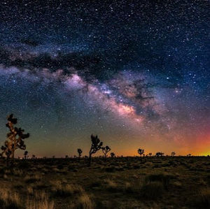 Meet your Posher, Lilly